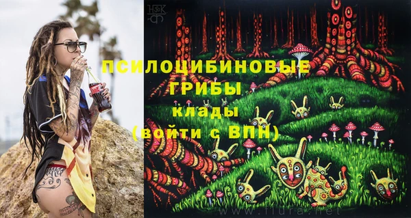 герыч Алзамай
