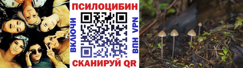 Псилоцибиновые грибы прущие грибы  Зверево 